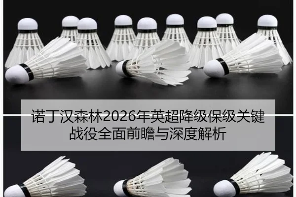 诺丁汉森林2026年英超降级保级关键战役全面前瞻与深度解析 - AYX SPORTS